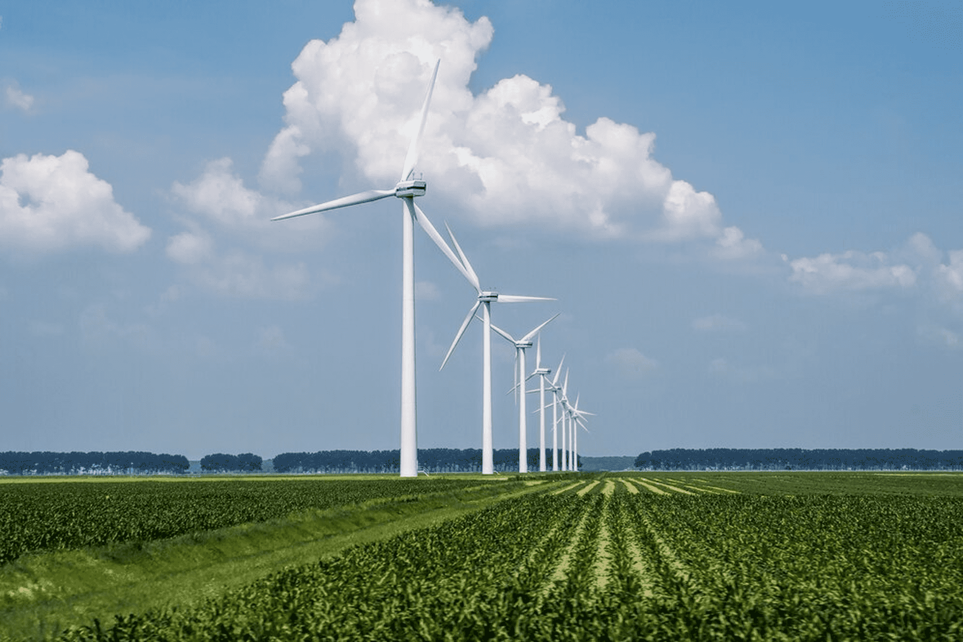 Harnessing the Power of the Sun: Exploring the World of Solar Energy